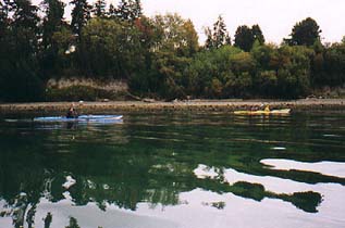 Gliding along Guemes Island