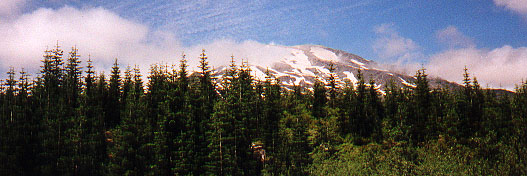 Mt. St. Helens